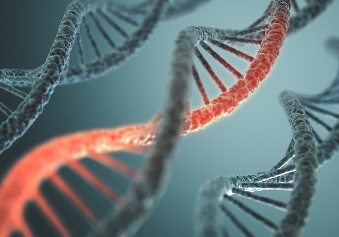 DNA Structure DNA Structure